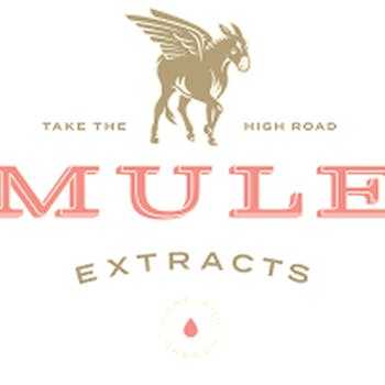 Mule Kicker Lime Sativa Gummy